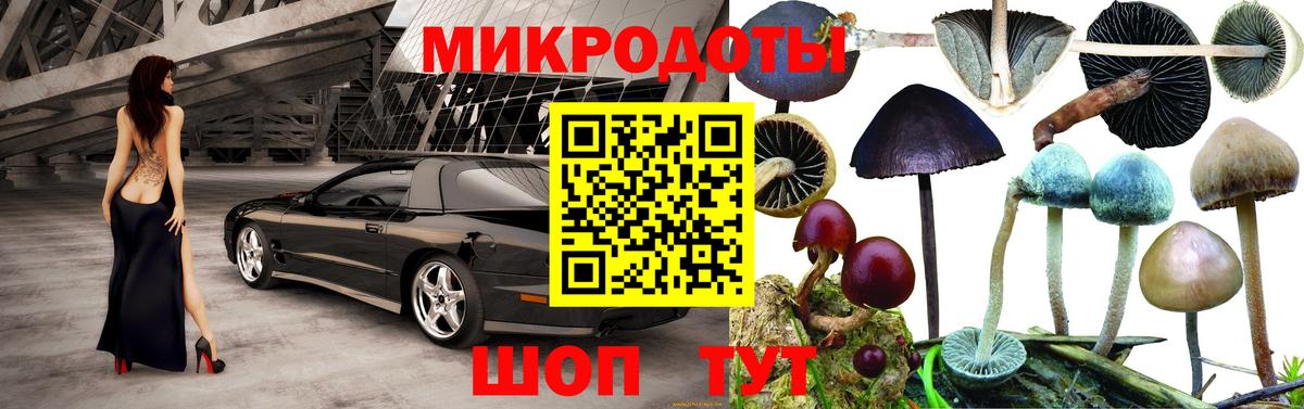 Подольск  Галлюциногенные грибы Cubensis  Вход с VPN 